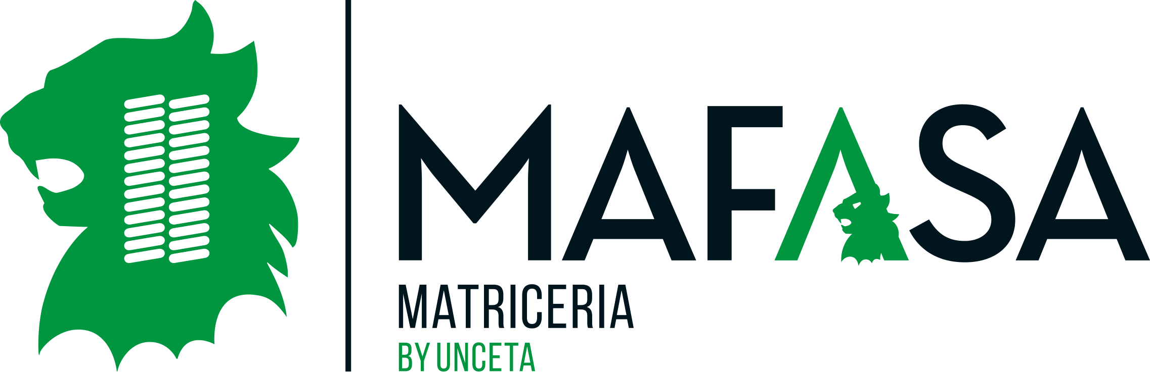 NOSOTROS mafasa